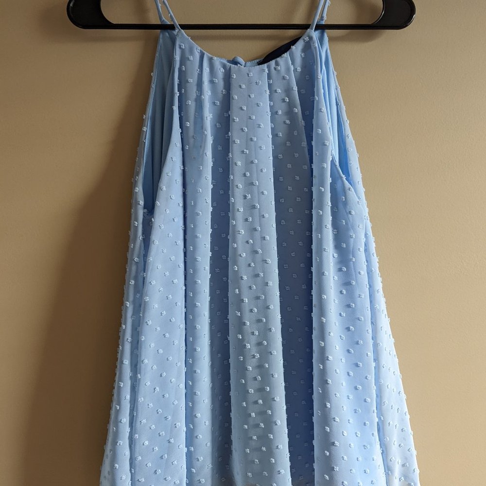 Francesca's Blue high neck swiss dot tank top